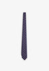 SCMINI PAISLEY F TIE