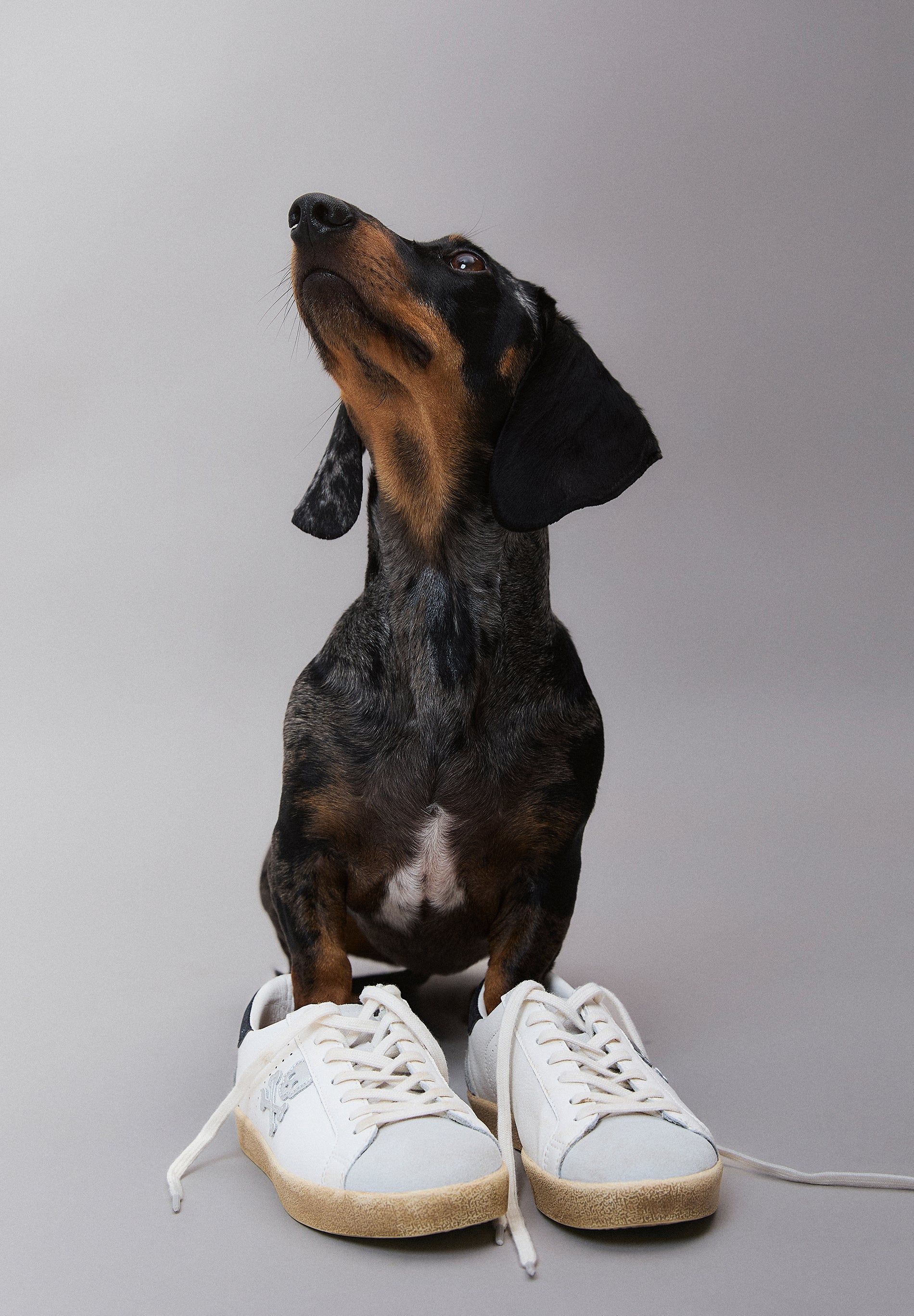 HENRY SNEAKERS GIRLS II
